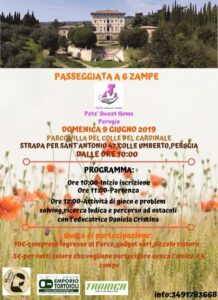 Locandina Passeggiata a 6 zampe