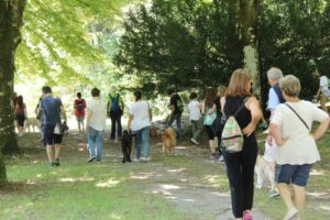 Passeggiata a 6 zampe edizione 2018