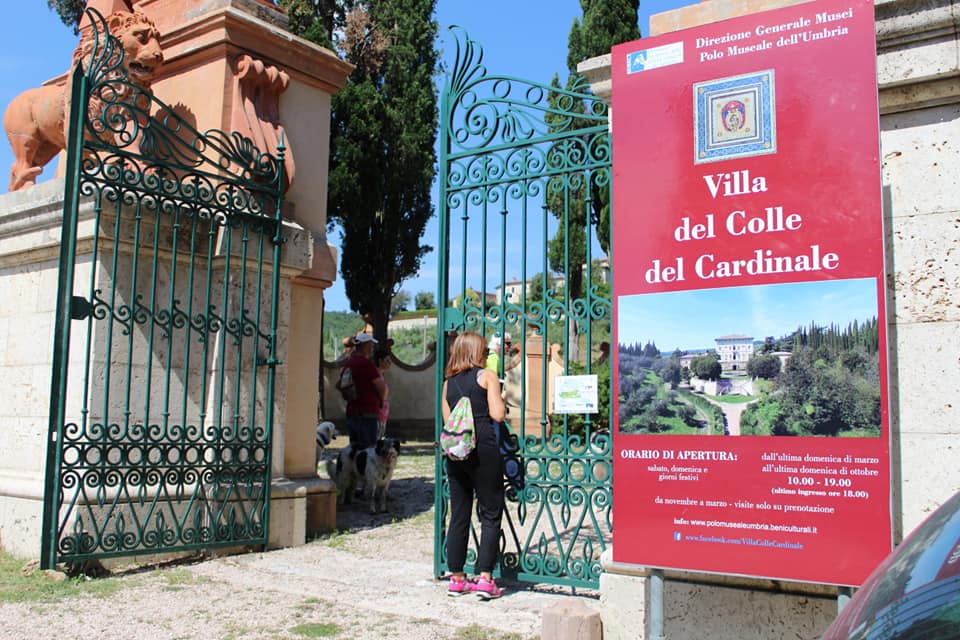 'Passeggiata a 6 zampe"