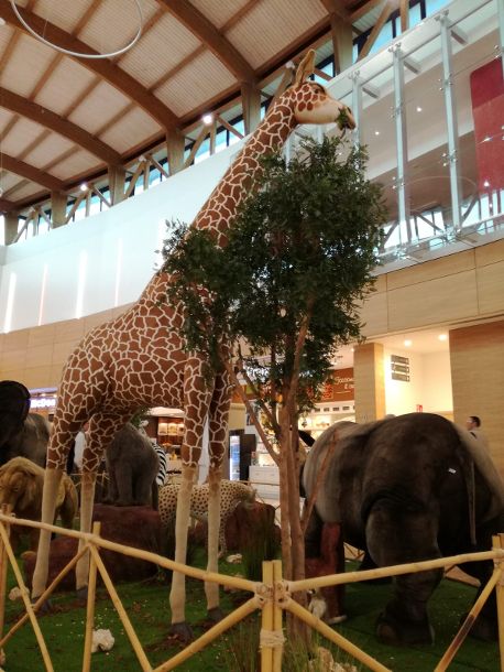 mostra animals a collestrada
