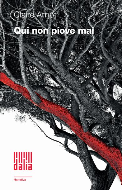 locandina libro qui non piove