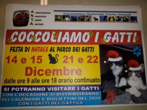 Coccoliamo i Gatti
