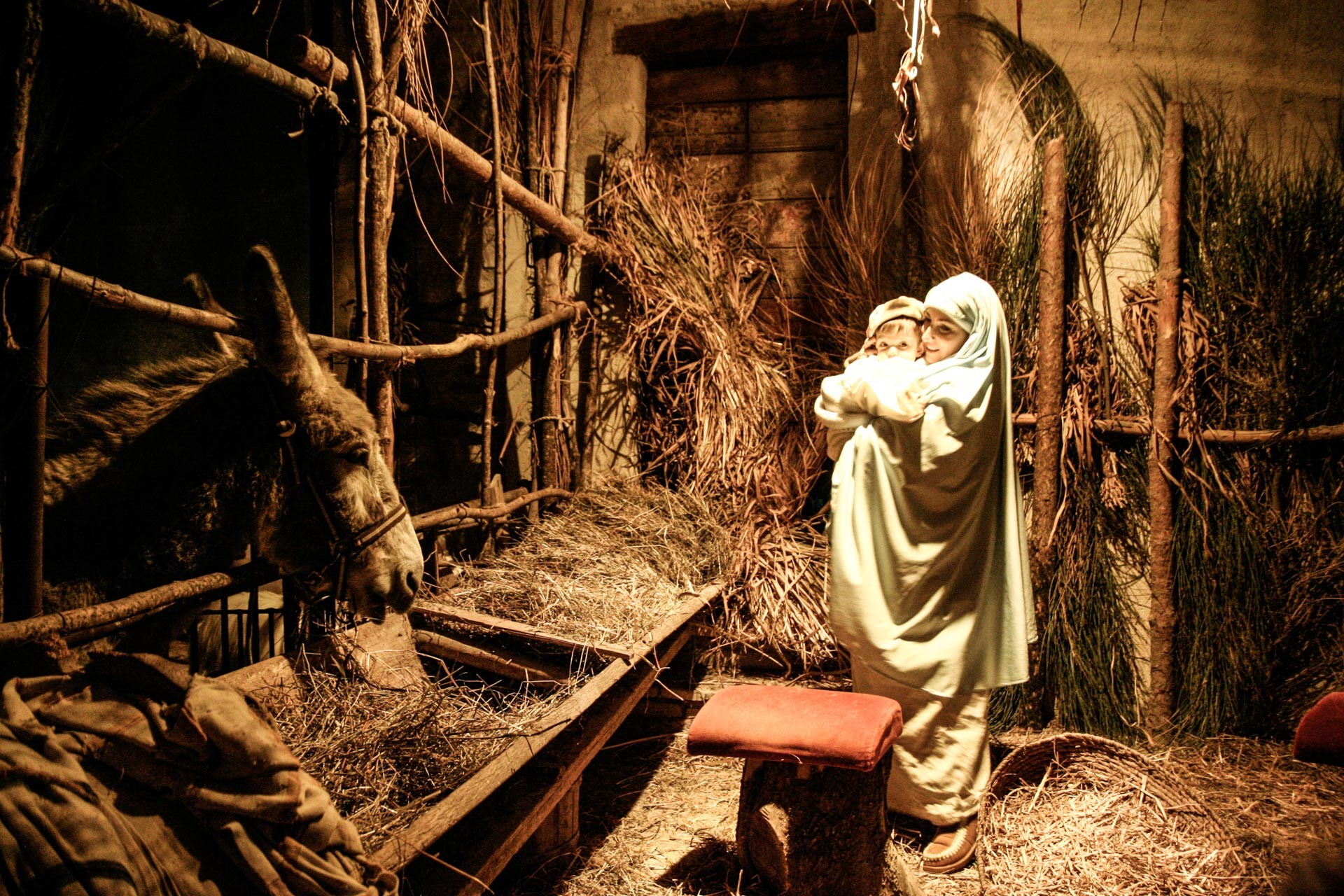 Risultati immagini per natività