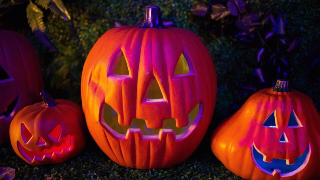 Un Halloween Televisivo Per Tutti I Gusti Vivo Umbria
