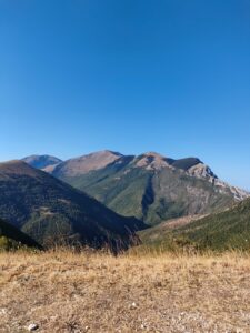 Monte Motette