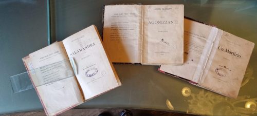 Biblioteca Circolante opere di Regina di Luanto