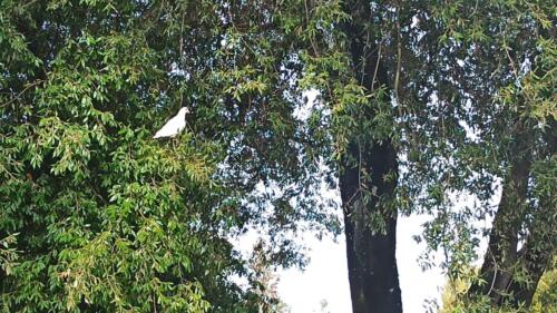 IMG_20220317_103135