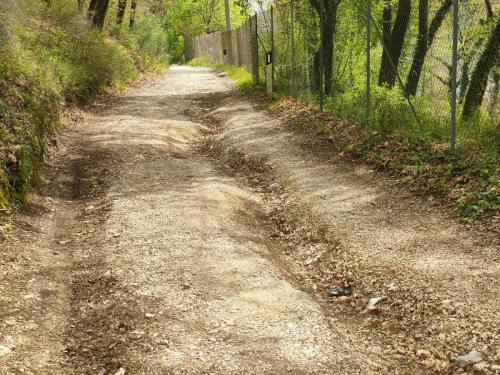 La strada dissestata