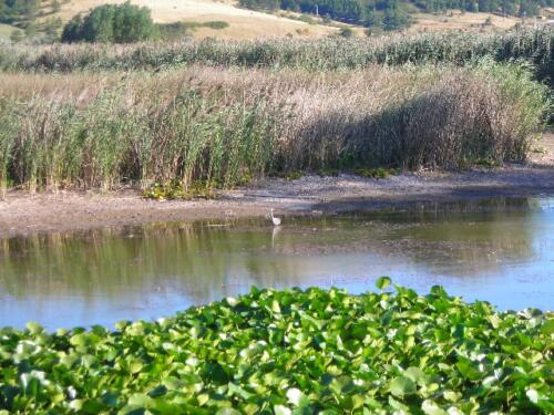 Laguna di Colfiorito - Di I, Cantalamessa, CC BY 2.5, httpscommons.wikimedia.orgwindex.phpcurid=2522319