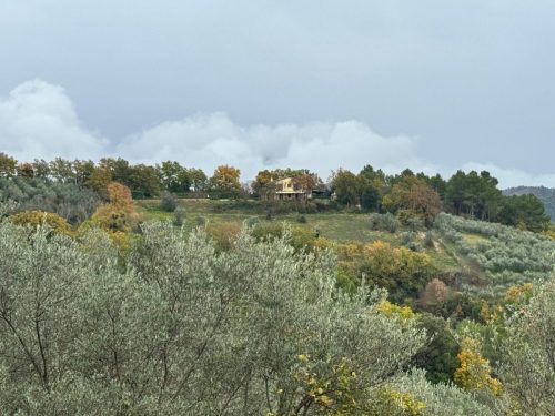 Paesaggio 3
