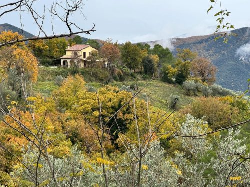 Paesaggio 6