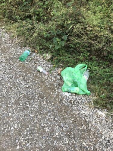 Un giorno qualunque al parco dei Rimbocchi 2