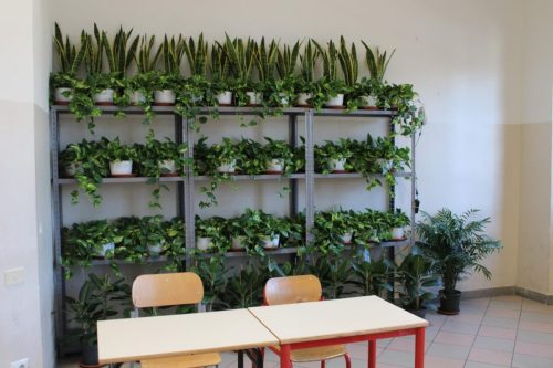 Verde a scuola 1