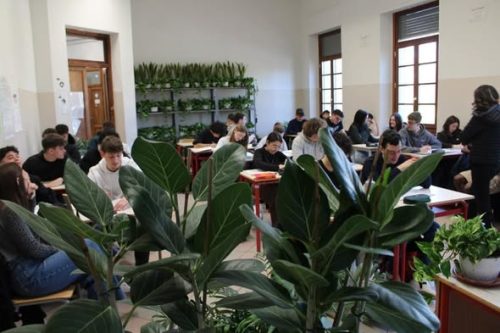 Verde a scuola 5
