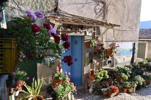 Vicolo in fiore by Pro Loco Piediluco (1)