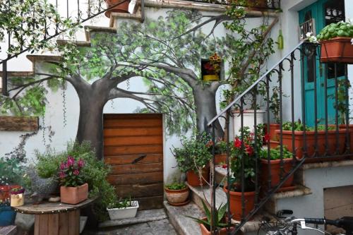 Vicolo in fiore by Pro Loco Piediluco (2)
