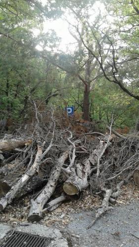 Villalago Alberi abbattuti