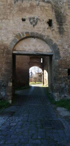 orvieto1