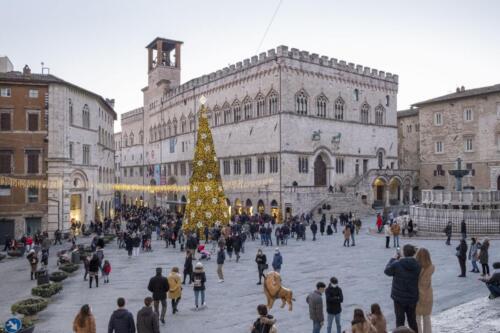 perugia-colori (91)_small